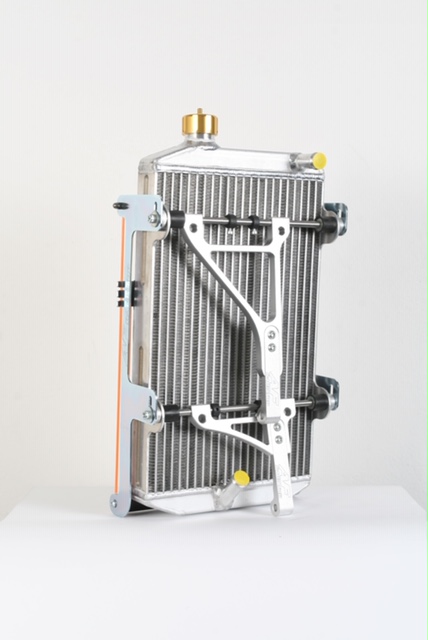 AF Gold Radiator