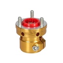 Light Weight Rear Wheel Hub