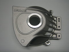 Leopard Clutch Cover MY09