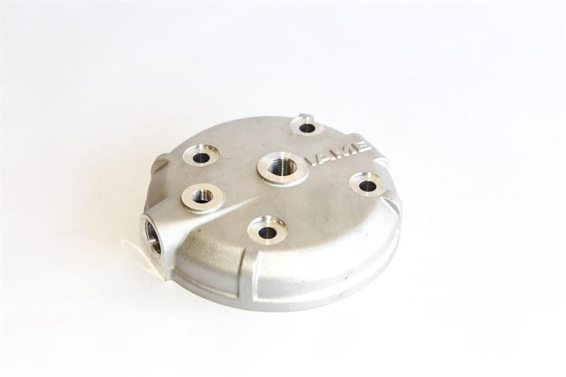 Leopard Cylinder Head