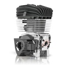 IAME KA100 Engine Package