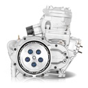 IAME SKUSA Shifter Engine "SSE"