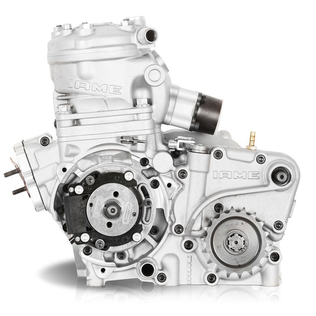 IAME SKUSA Shifter Engine "SSE"