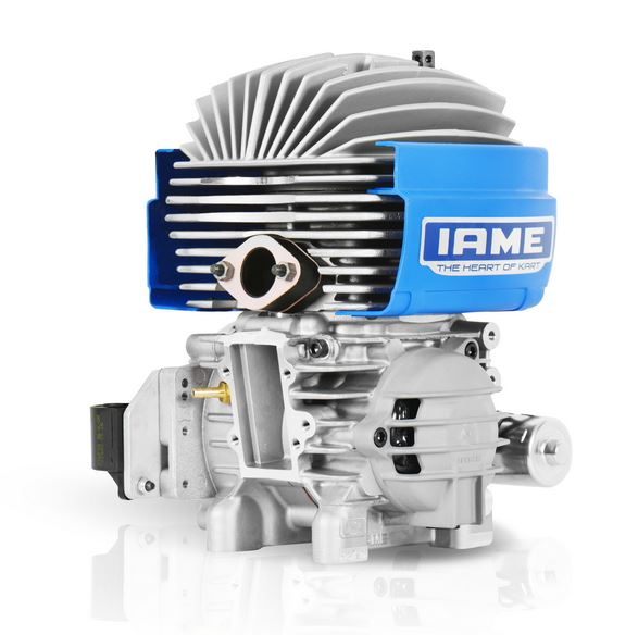IAME Mini/Micro Swift 60cc Engine Package b