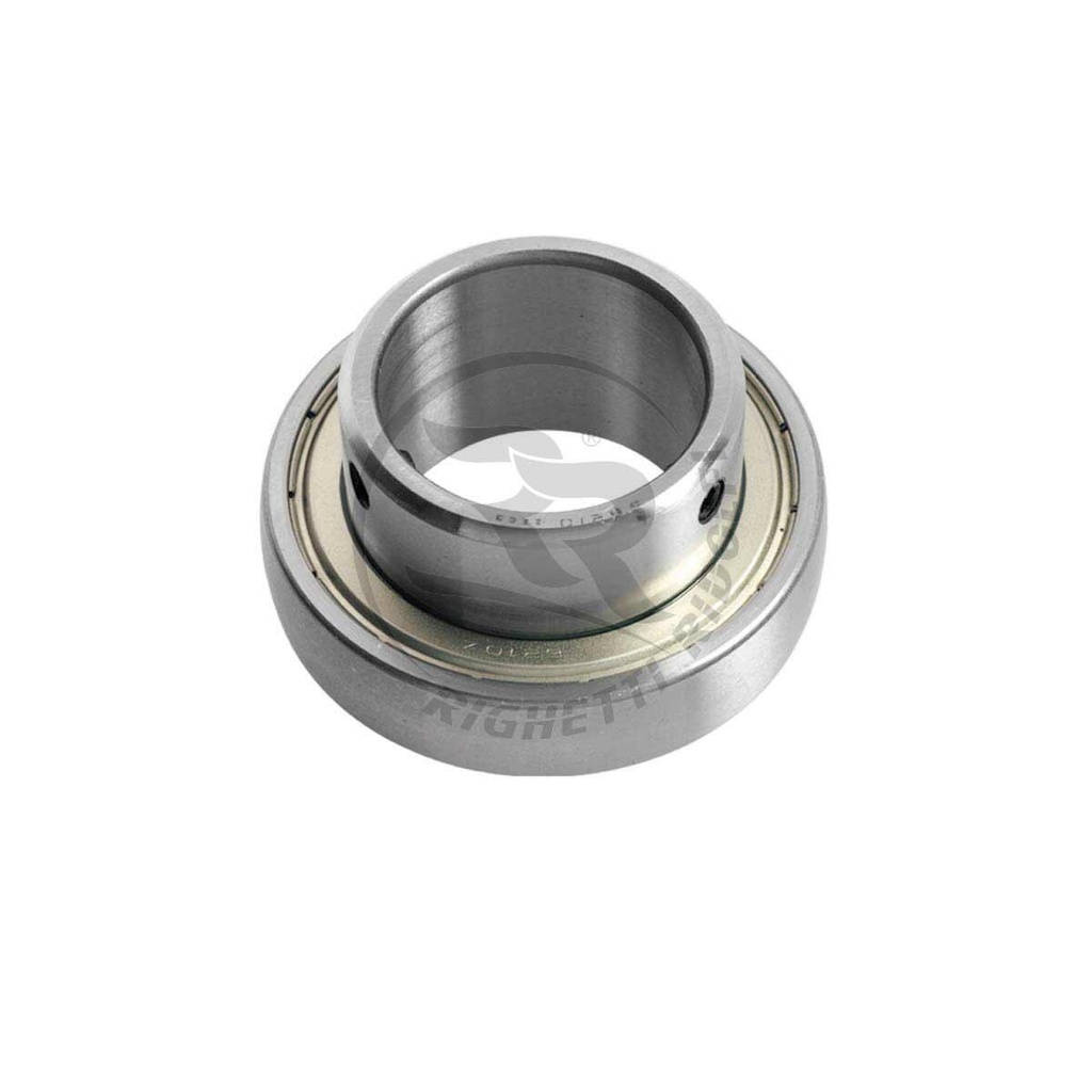 Righetti Ridolfi Axle Bearings