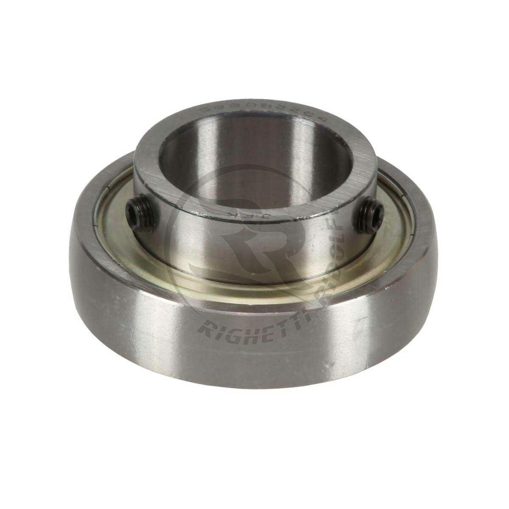 Righetti Ridolfi Axle Bearings