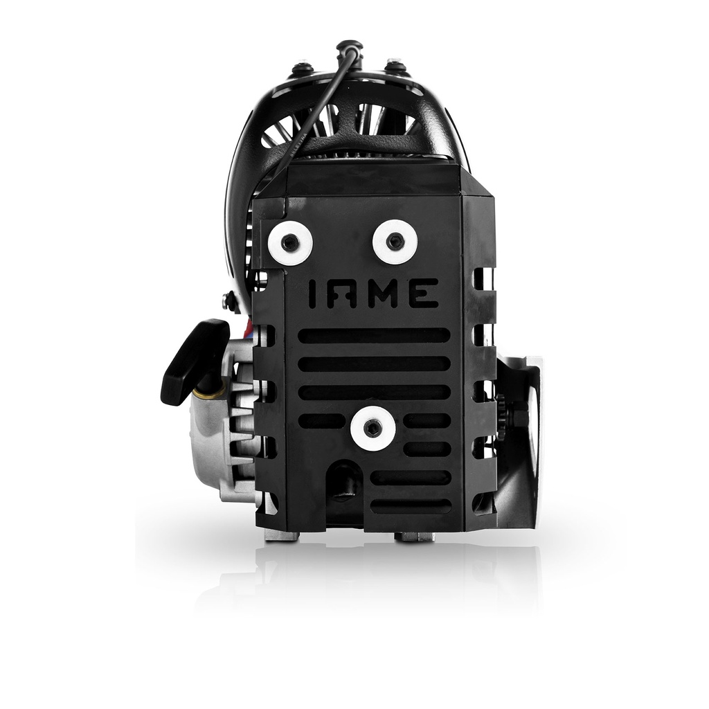 IAME M1 Stock Kid Kart Engine Packageg