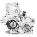 Charles Leclerc CL30SH-S16 IAME SKUSA SSE Shifter Turn Key Kart