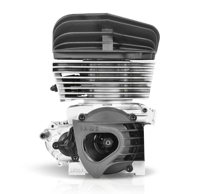 Charles Leclerc CL30DD-S16 KF-TAG IAME KA100 Turn Key Kart