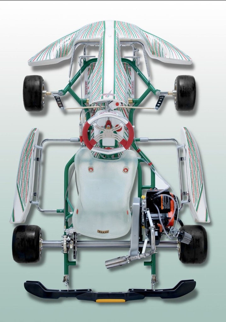 TonyKart STV 450 Briggs LO206 Turn Key Kart