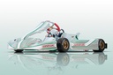 TonyKart STV 450 Briggs LO206 Turn Key Kart
