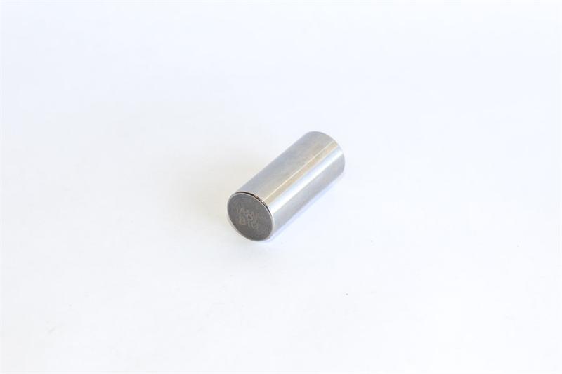 IAME Leopard Crankpin