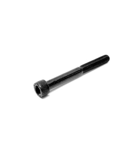 Kit of 20 Allen Screws 6x55