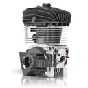 IAME KA100 Engine Package