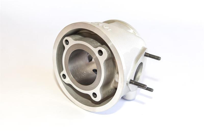 Leopard complete cylinder