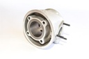 Leopard complete cylinder