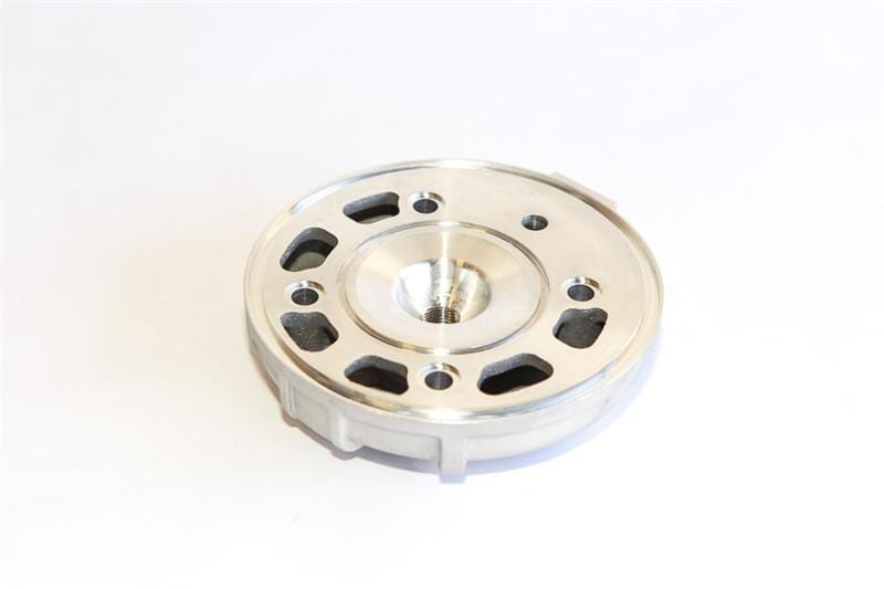 Leopard Cylinder Head