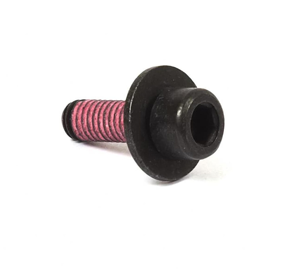 Briggs Carb Metric Screw