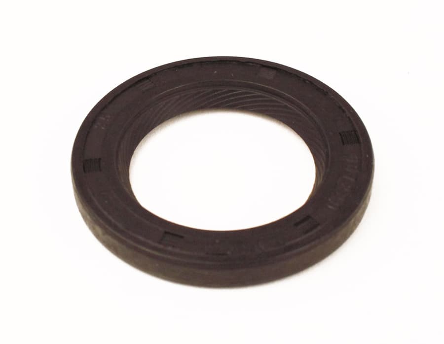 Briggs Oil Seal (PTO Side)
