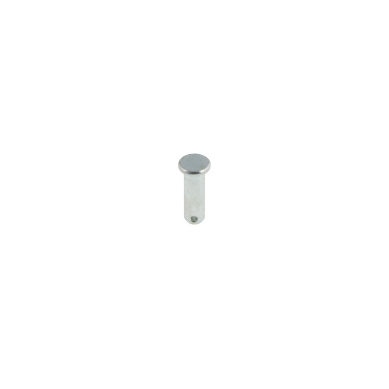 Mini Kid brake pumps pin