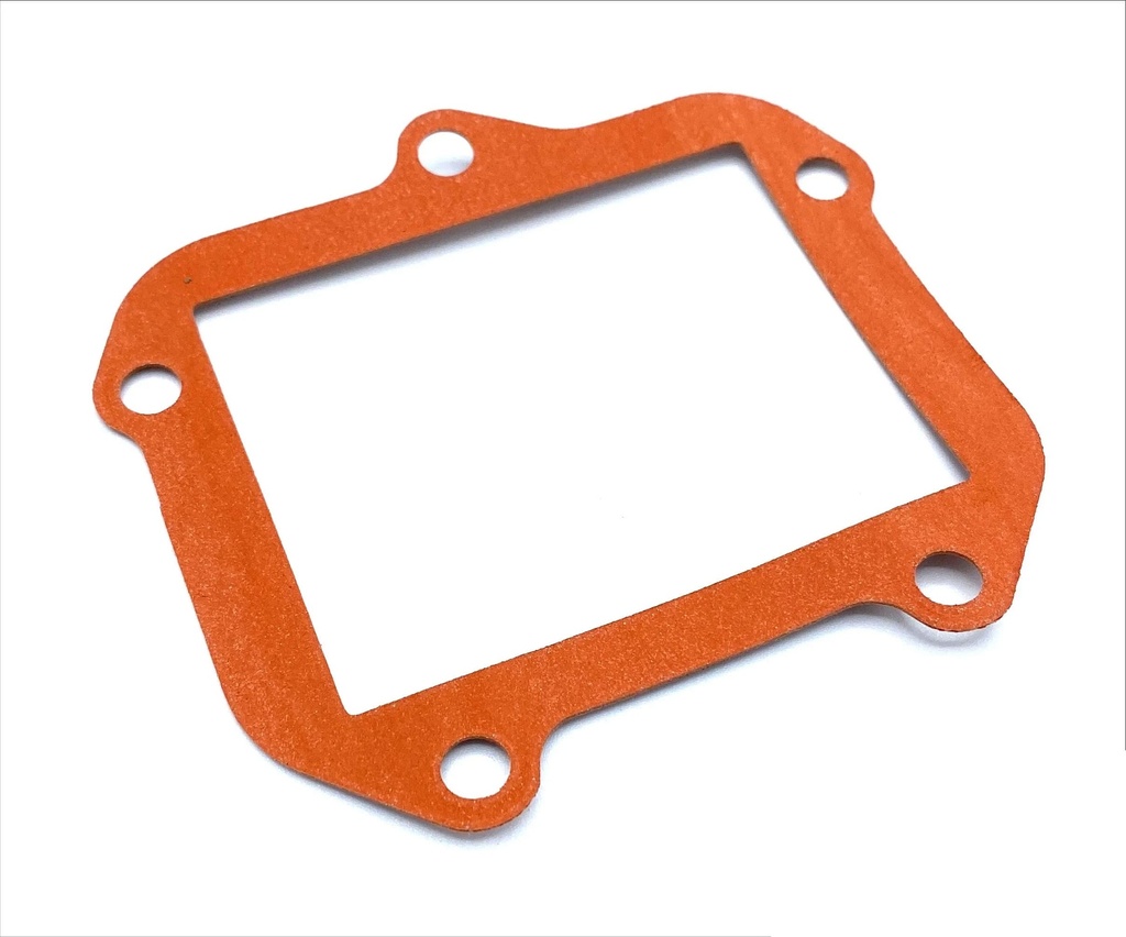 Reed Gasket