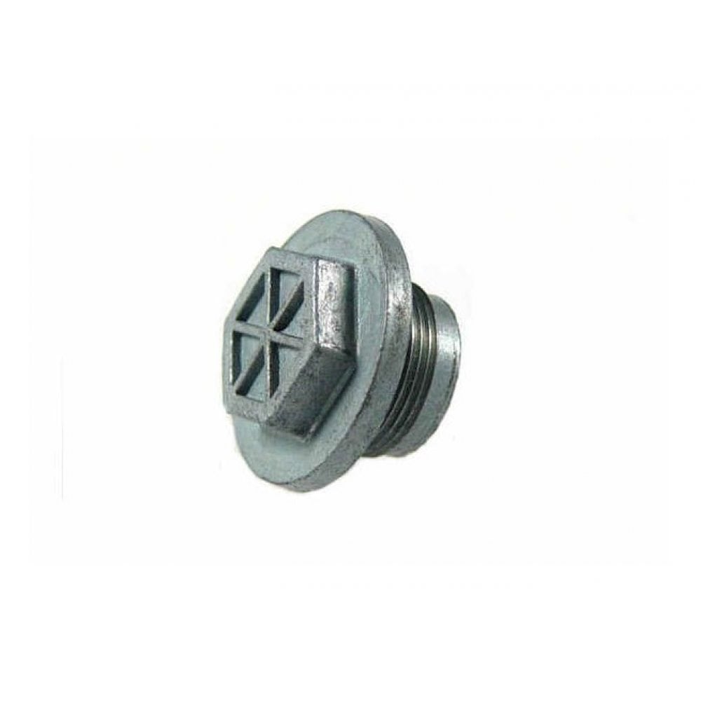 Plug Screw