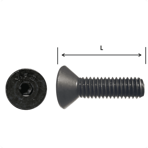 Flat Head Allen Bolt