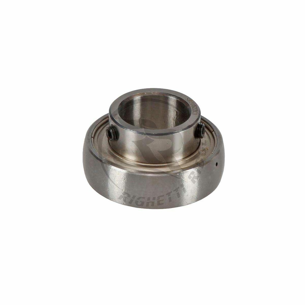 Righetti Ridolfi Axle Bearings