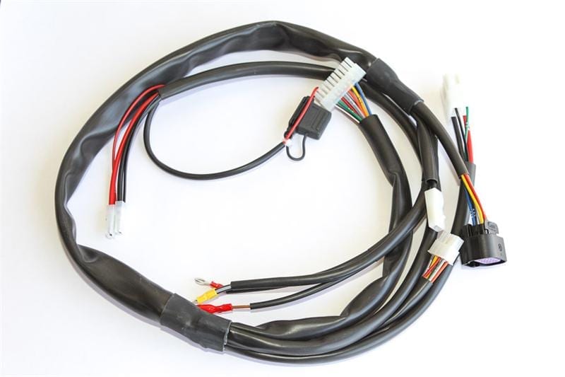 IAME Cable Harness '13
