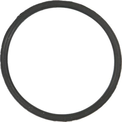 LC2 Utility Container O-Ring