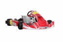 BirelArt RY30 KF-TAG IAME KA100 Turn Key Kart
