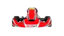BirelArt AM29 Briggs LO206 Turn Key Kart