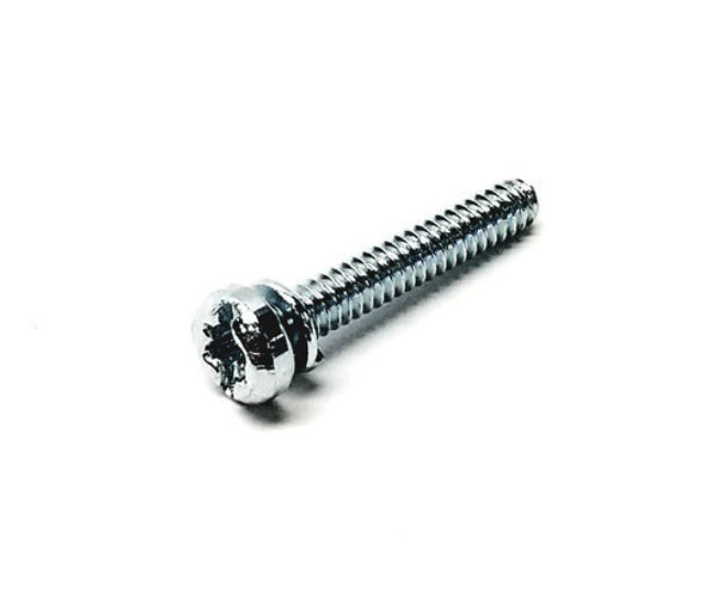 Fuel Pump Body Screw
