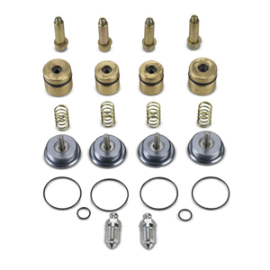 COMPLETE KIT OVERHAULING FOR REAR CALIPER SPEED