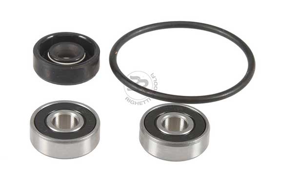Righetti Water Pump Rebuild Kit