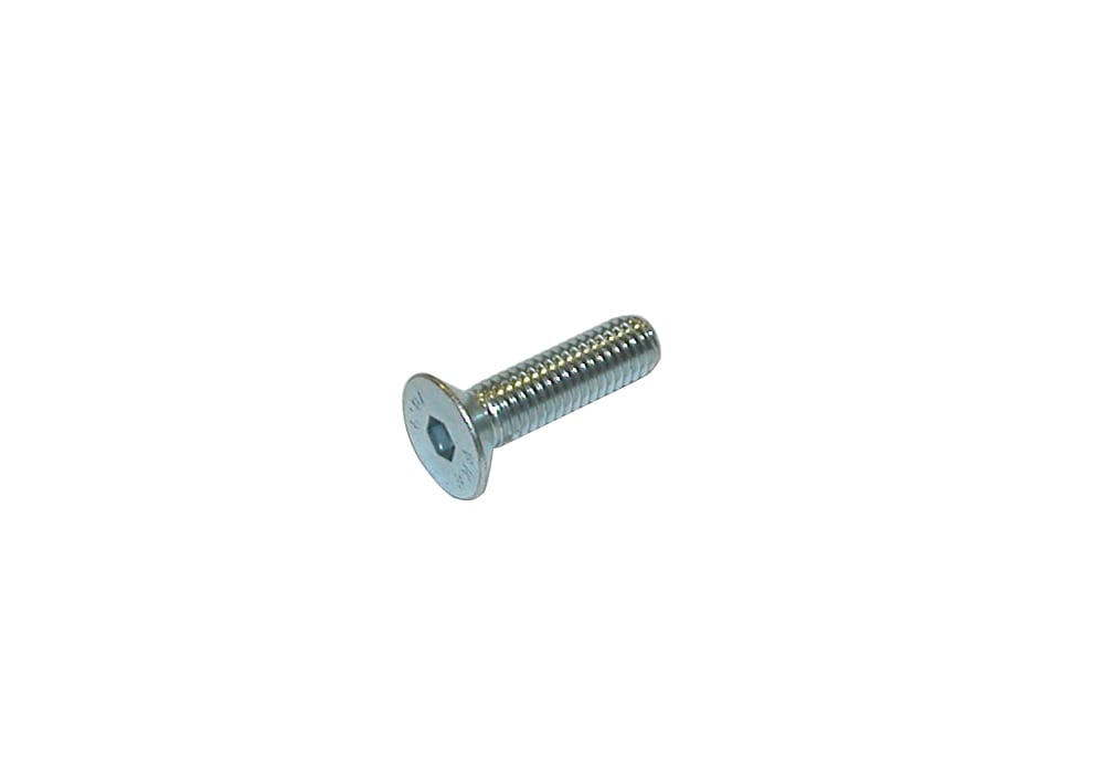 TPSCEI screw 8 x 20