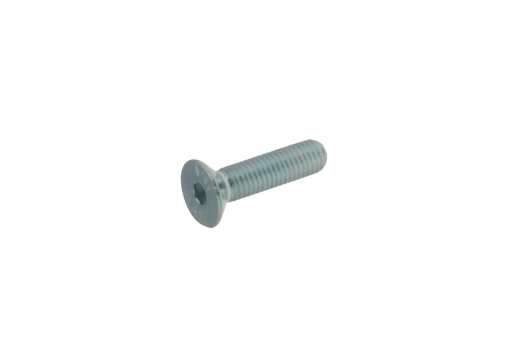 TPSCeI screw 8 x 40