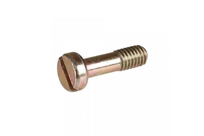 C52 Float Chamber fixing screw