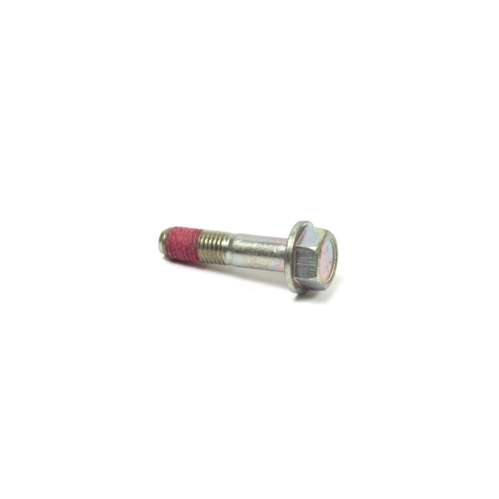 Briggs Gear Reduction Case Screw 5/16 (24)