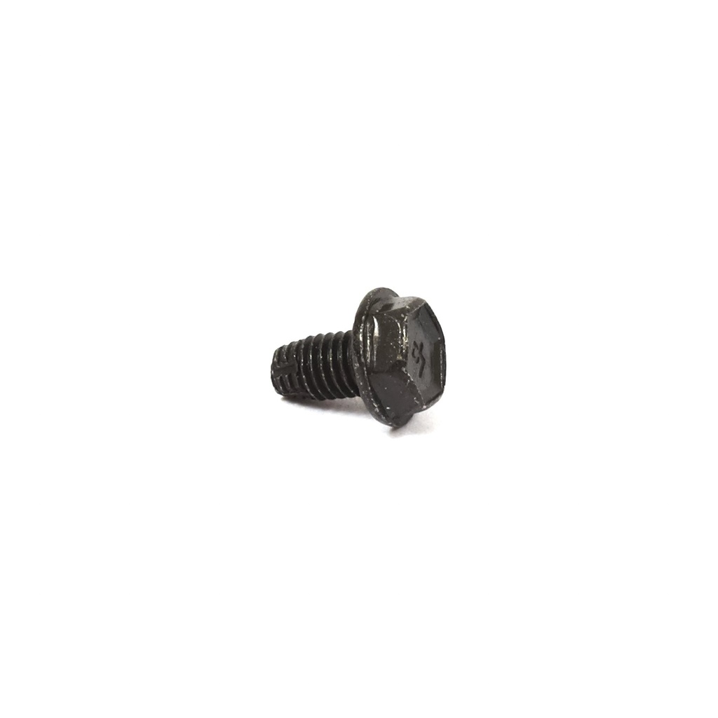 Briggs LO206 Metric Screw M5x.8