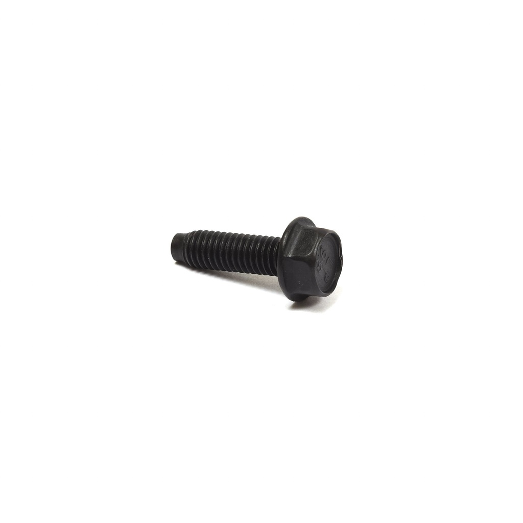 Briggs Blower Housing Hex Screw M6x1