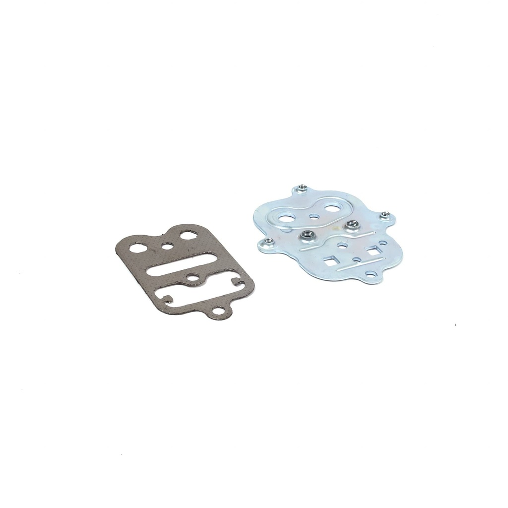 Briggs Metric Cylinder Head Plate