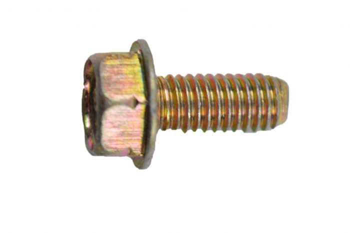 Briggs Cylinder Head Plate Screw M6x1