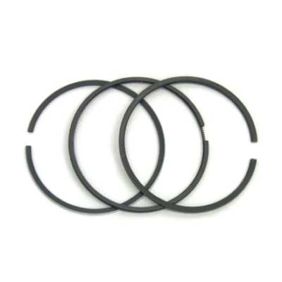Briggs LO206 Ring Set .10"