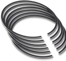 Briggs LO206 Ring Set (10-Pack) 0.20"
