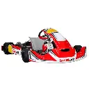 BirelART AM29 4 Cycle Chassis