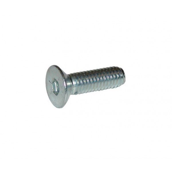 Flathead screw M5x10 10.9