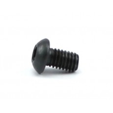 Roundhead screw M6x10