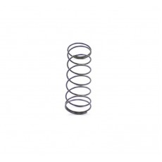 Exhaust valve compression spring GP