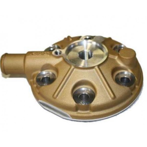 125 head Gp-S.Rok